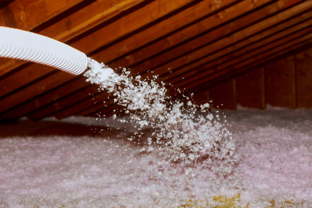 Best Eco-Friendly Insulation in Cahokia, IL