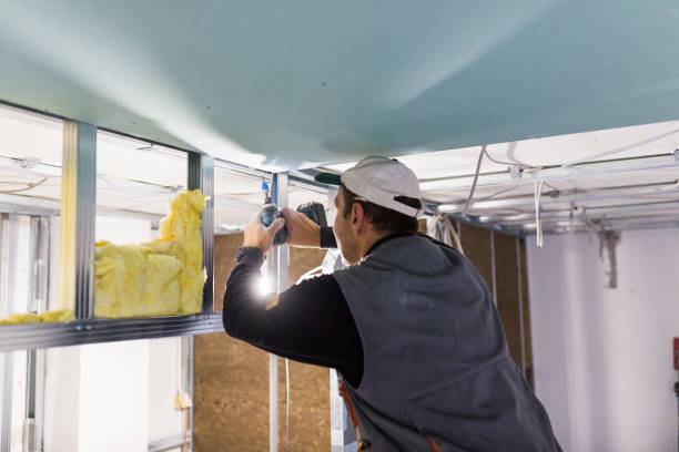 Types of Insulation We Offer in Cahokia, IL