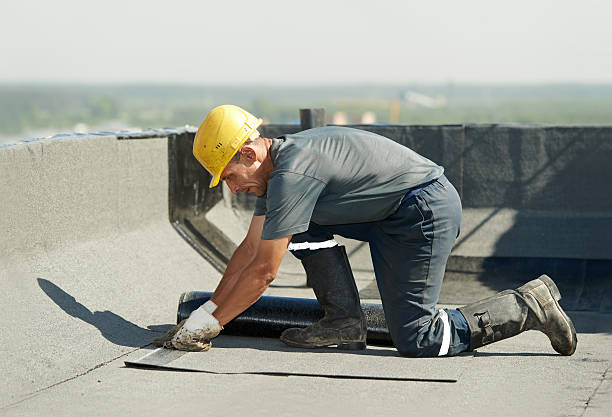 Best Cellulose Insulation in Cahokia, IL