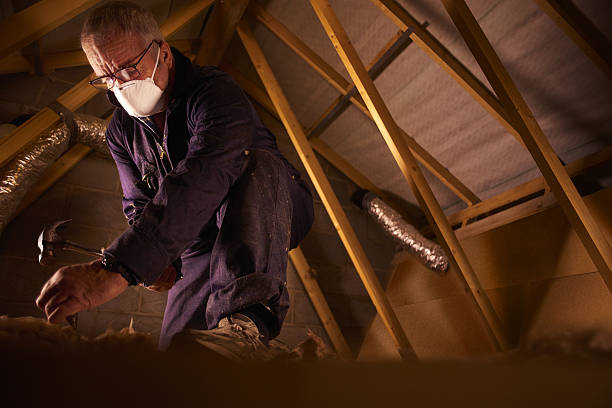 Best Cellulose Insulation in Cahokia, IL