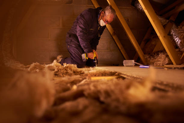 Best Specialized Insulation Services in Cahokia, IL